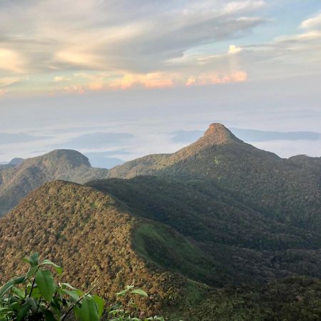 Hotel Mango Tree Nearest Adam'S Peak Nallathanniya Bagian luar foto