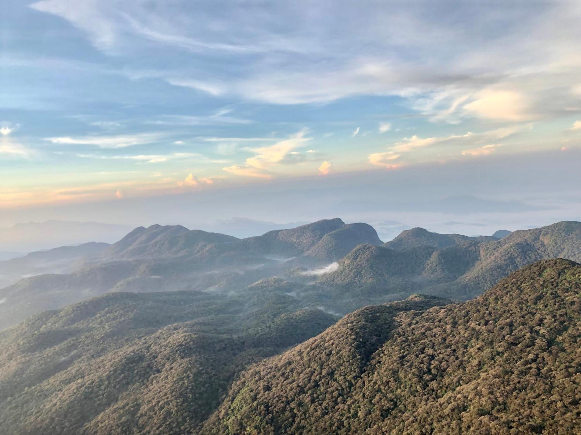 Hotel Mango Tree Nearest Adam'S Peak Nallathanniya Bagian luar foto
