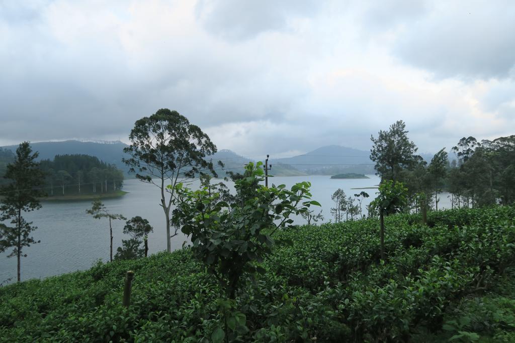 Hotel Mango Tree Nearest Adam'S Peak Nallathanniya Bagian luar foto
